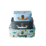 Kids Cardboard Suitcase with Space Print- 3 Sizes
